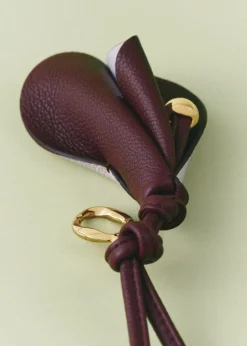 Charm Pili