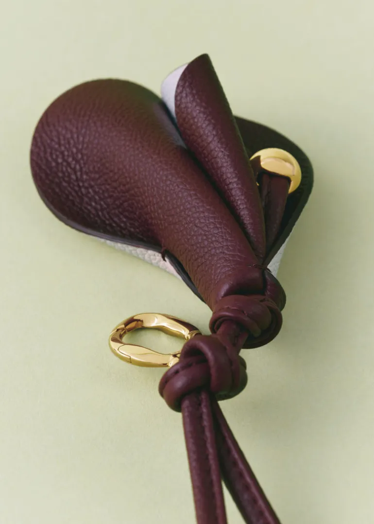 Charm Pili