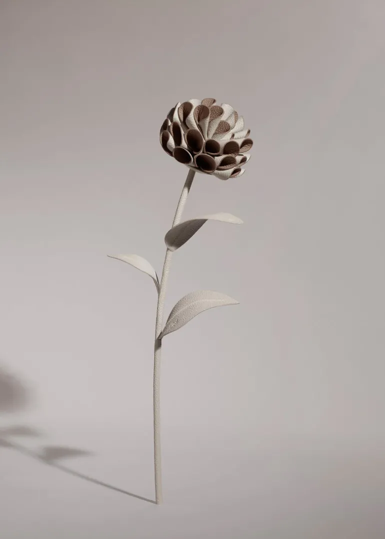 Fleur Dalium