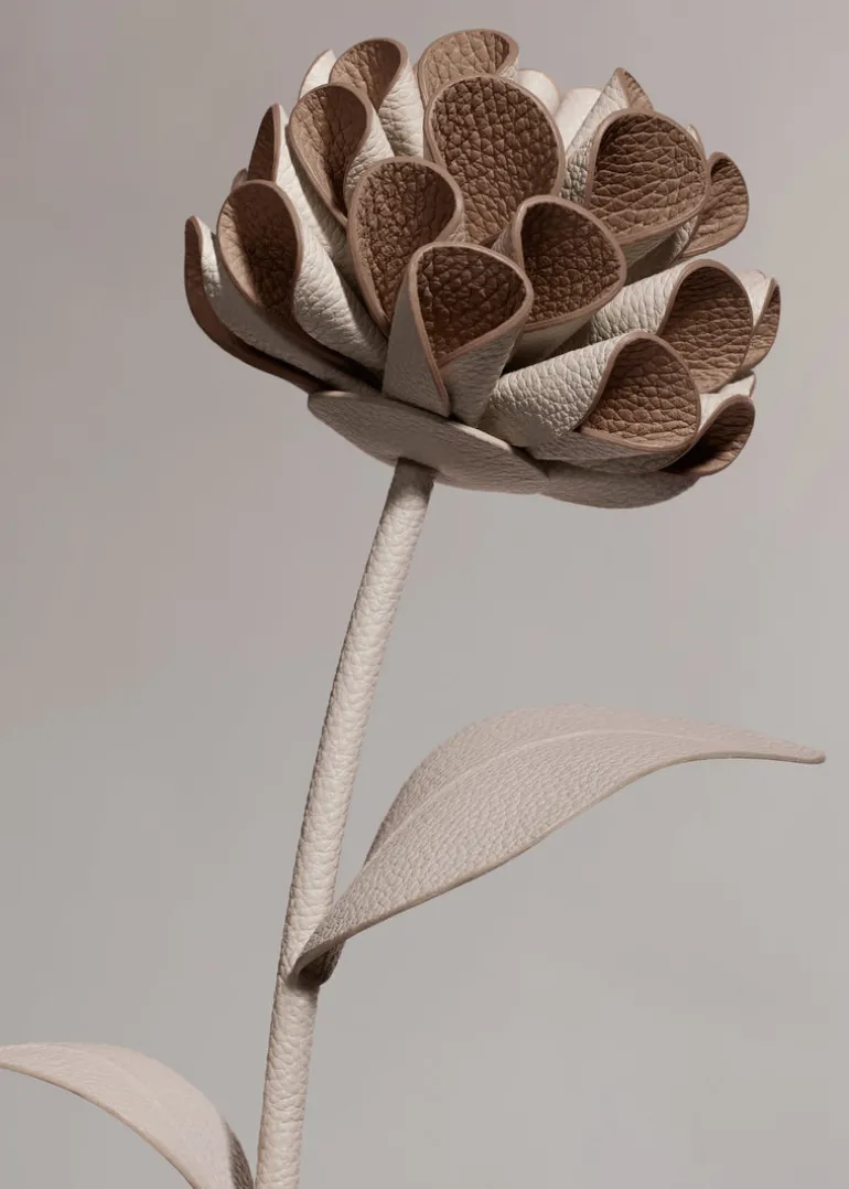 Fleur Dalium