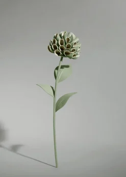Fleur Dalium