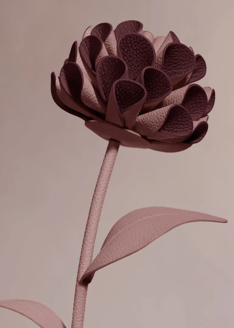 Fleur Dalium