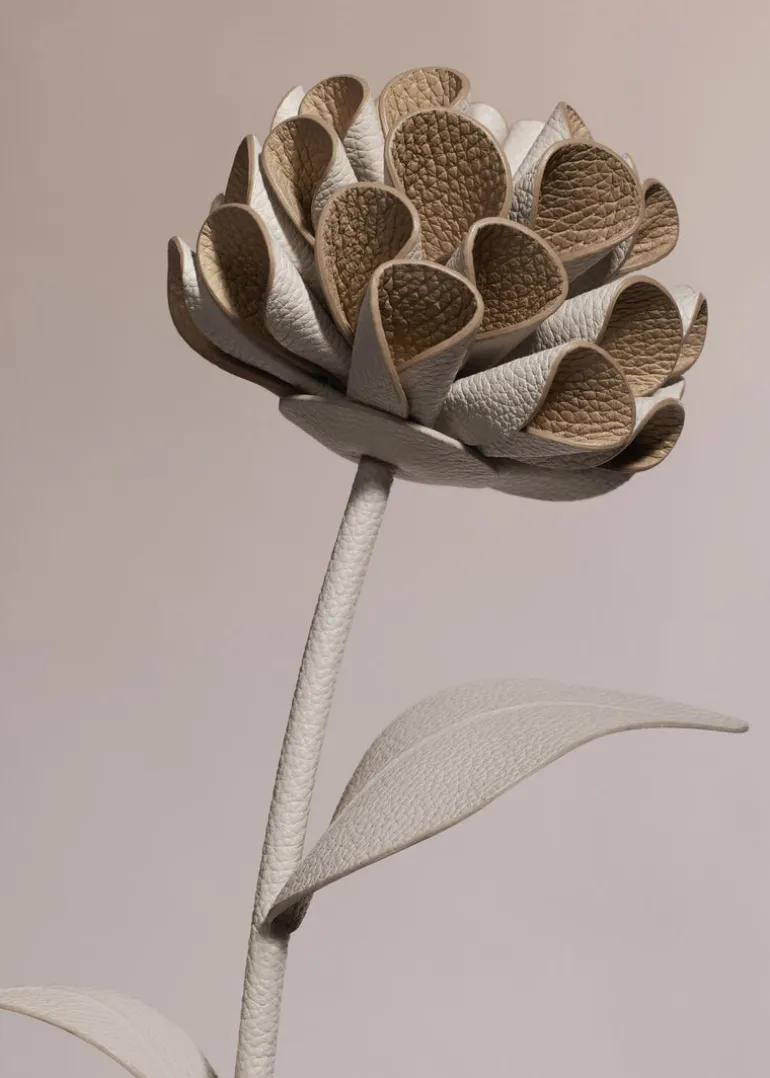 Fleur Dalium