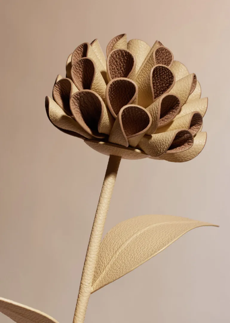 Fleur Dalium