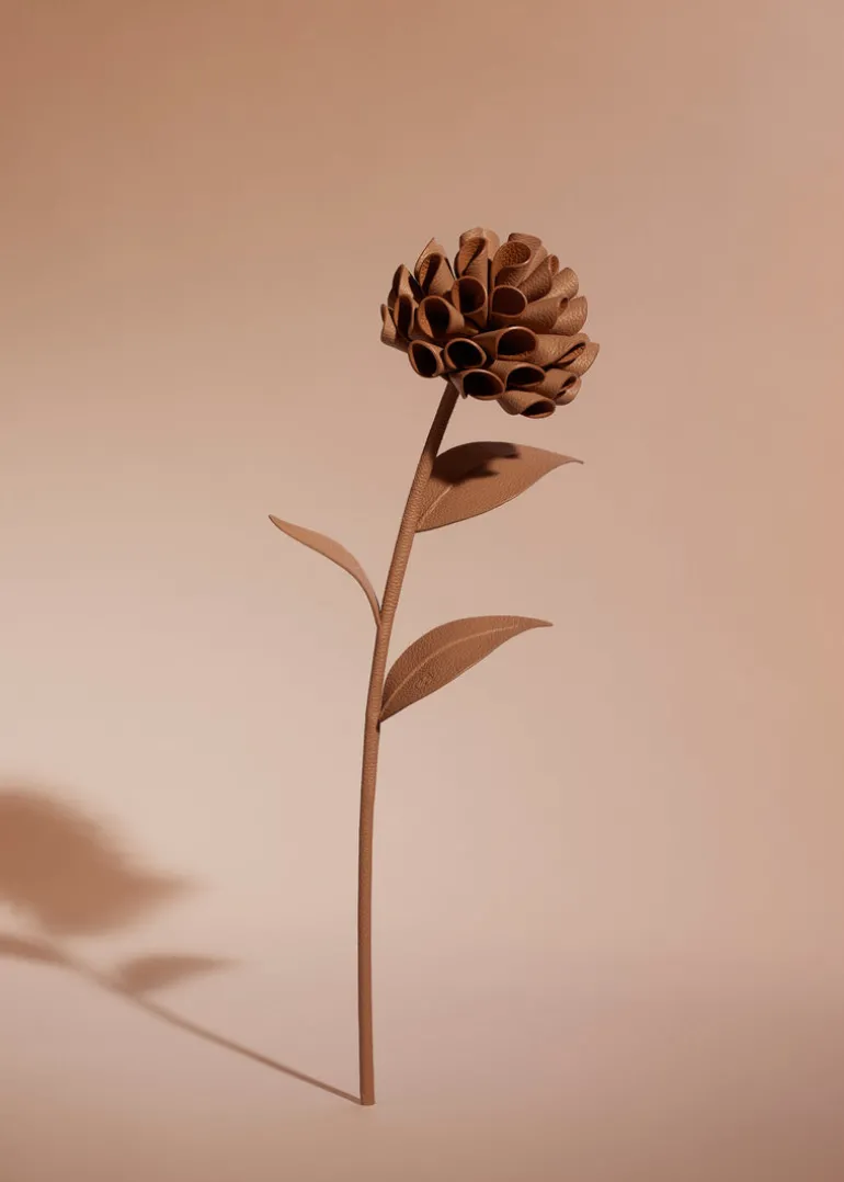 Fleur Dalium