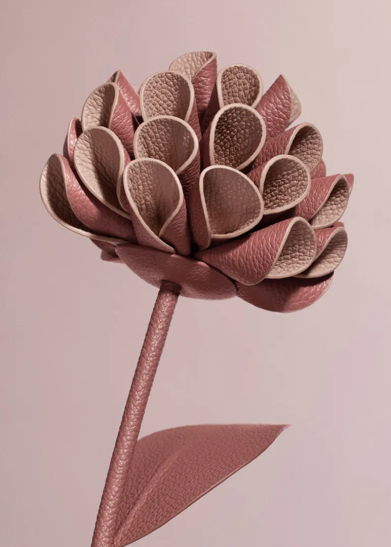 Fleur Dalium