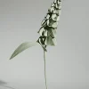 Fleur Orki