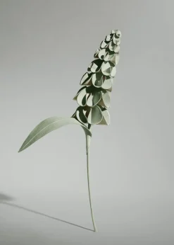 Fleur Orki