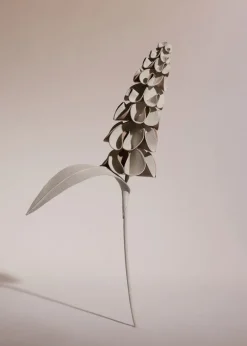 Fleur Orki