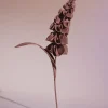 Fleur Orki