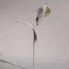 Fleur Pili