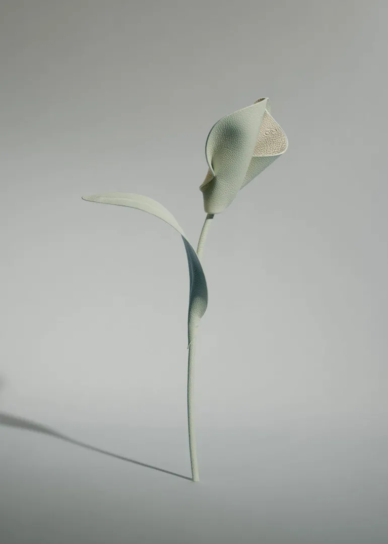 Fleur Pili