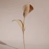 Fleur Pili