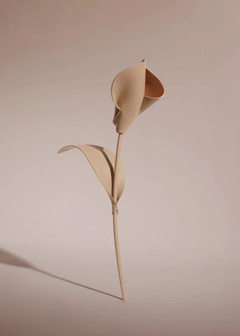 Fleur Pili