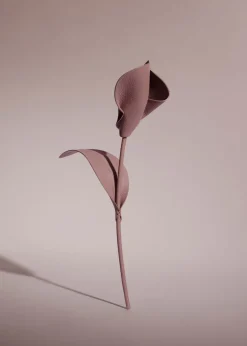 Fleur Pili