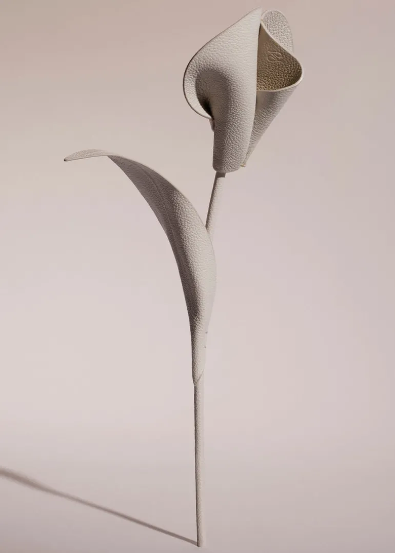 Fleur Pili