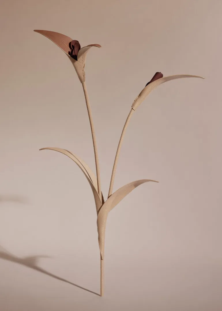 Fleur Touka