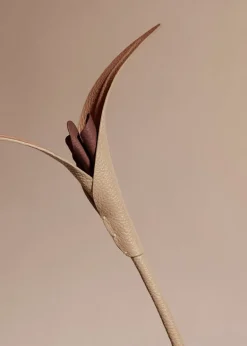 Fleur Touka