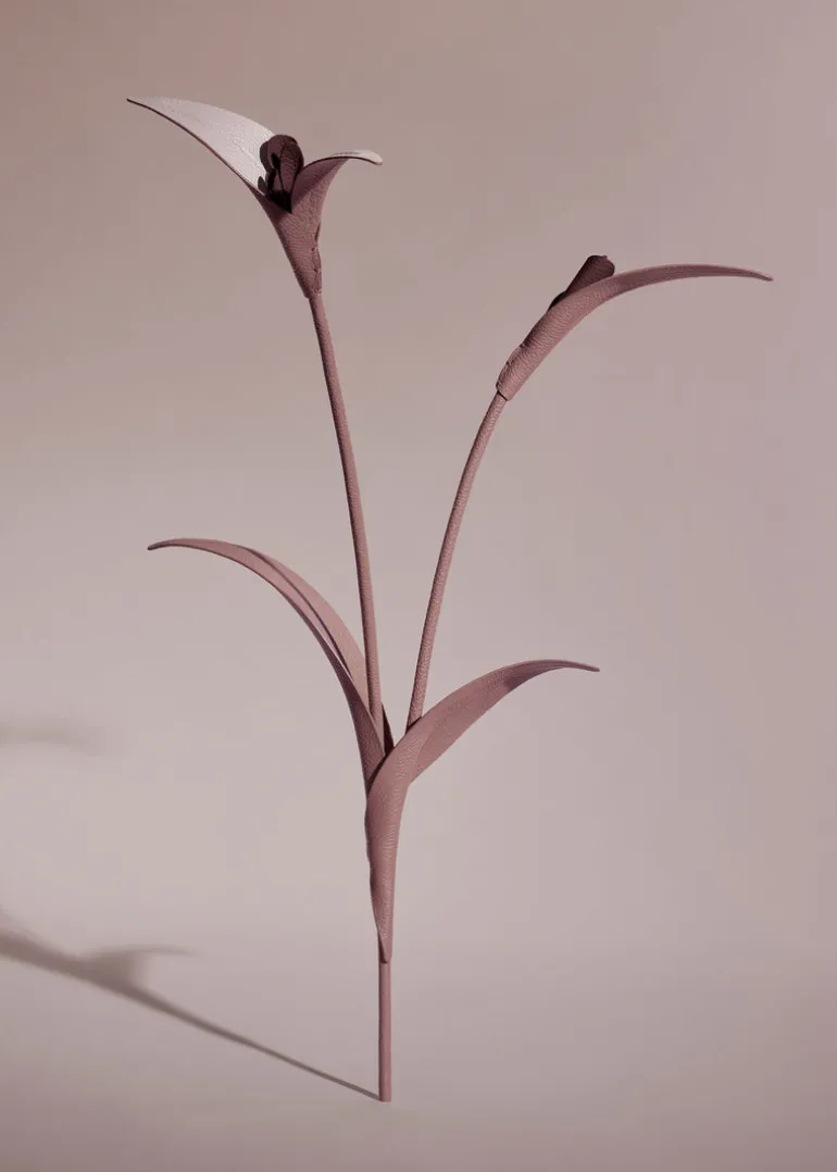 Fleur Touka
