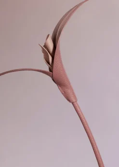 Fleur Touka