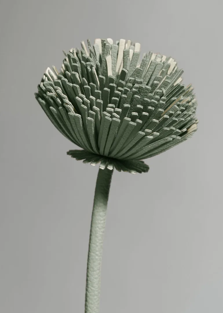 Fleur Tul