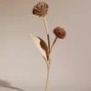 Fleur Tul