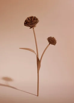 Fleur Tul