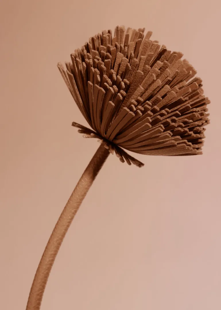 Fleur Tul