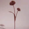 Fleur Tul